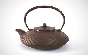 Traditional cast-iron Japanese teapot