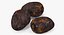 Cacao Bean 3D Model