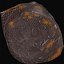 Cacao Bean 3D Model