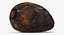 Cacao Bean 3D Model