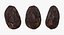 Cacao Bean 3D Model
