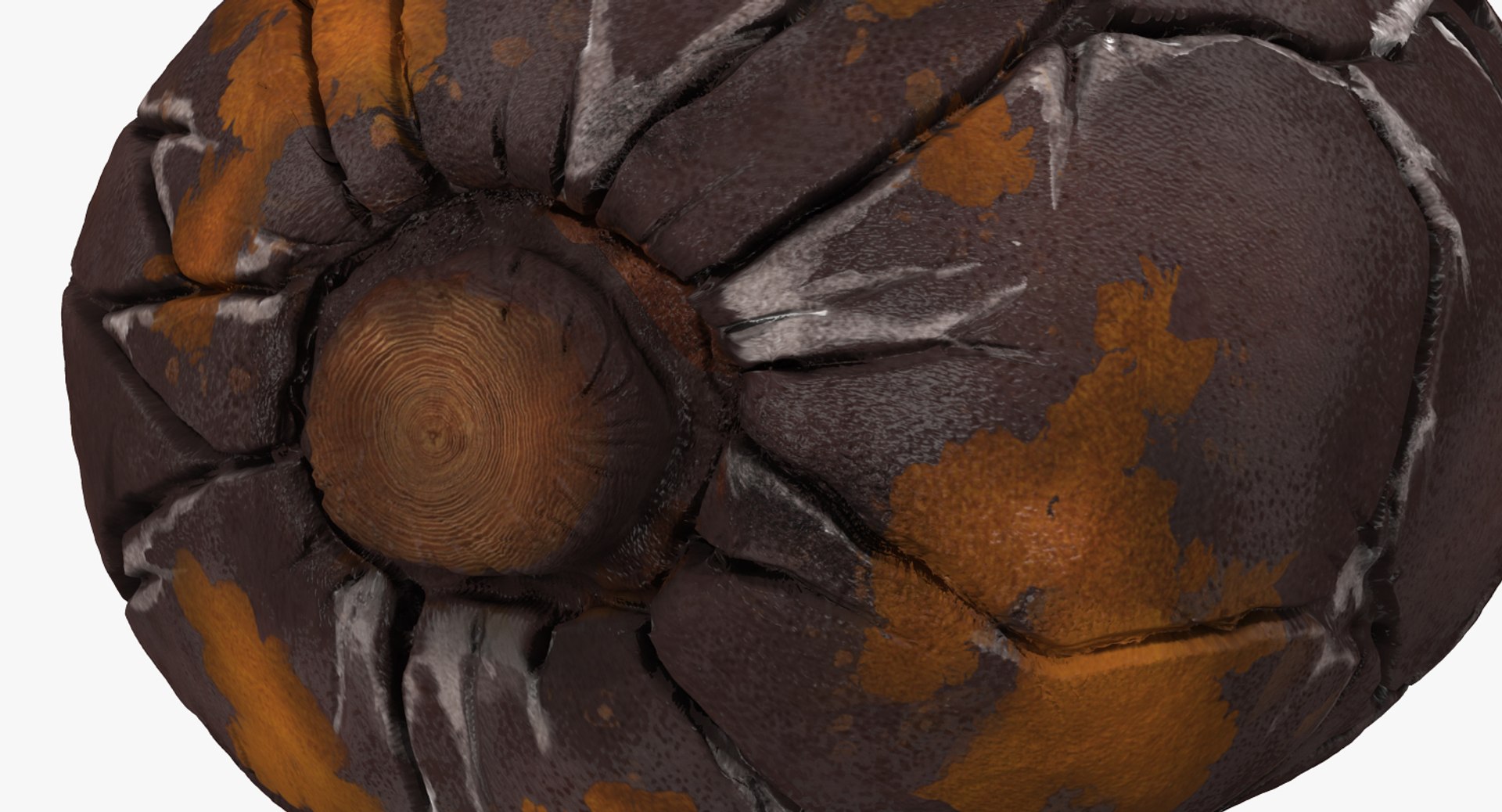 3D cacao bean model https://p.turbosquid.com/ts-thumb/k7/DuEVcW/VZr11Vvi/cacaobean3dmodel006/jpg/1528400406/1920x1080/fit_q87/8a848798b620327fb26a408b2802c29ed17c9df4/cacaobean3dmodel006.jpg