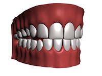mouth teeth