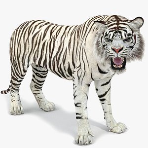 White Tiger Rigged 2