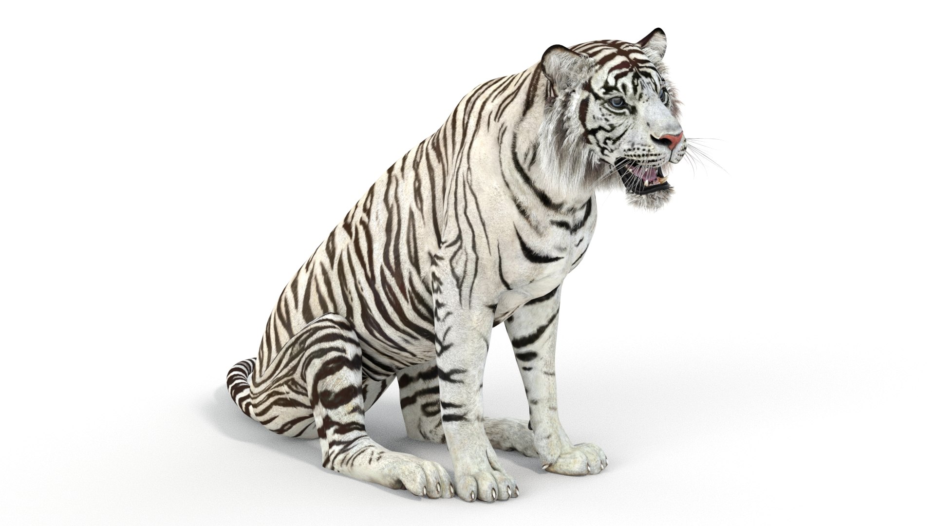 White Tiger Rigged 2 3D Model - TurboSquid 1443550