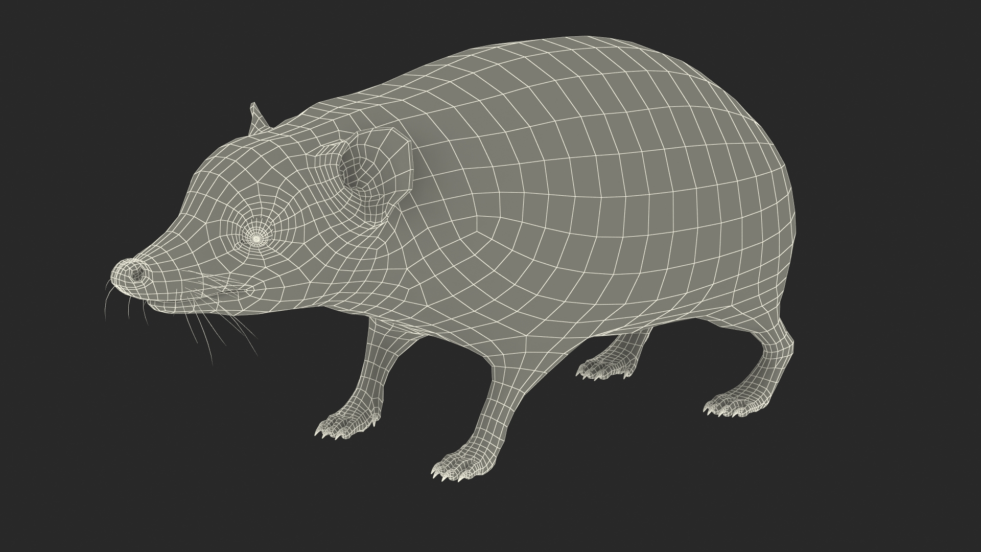 Hedgehog Bald Rigged For Cinema 4D 3D Model - TurboSquid 2112706