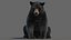 Black Bear Animated Fur Advanced 3D