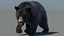 Black Bear Animated Fur Advanced 3D
