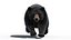 Black Bear Animated Fur Advanced 3D