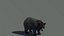 Black Bear Animated Fur Advanced 3D