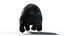 Black Bear Animated Fur Advanced 3D