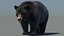 Black Bear Animated Fur Advanced 3D