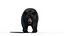 Black Bear Animated Fur Advanced 3D