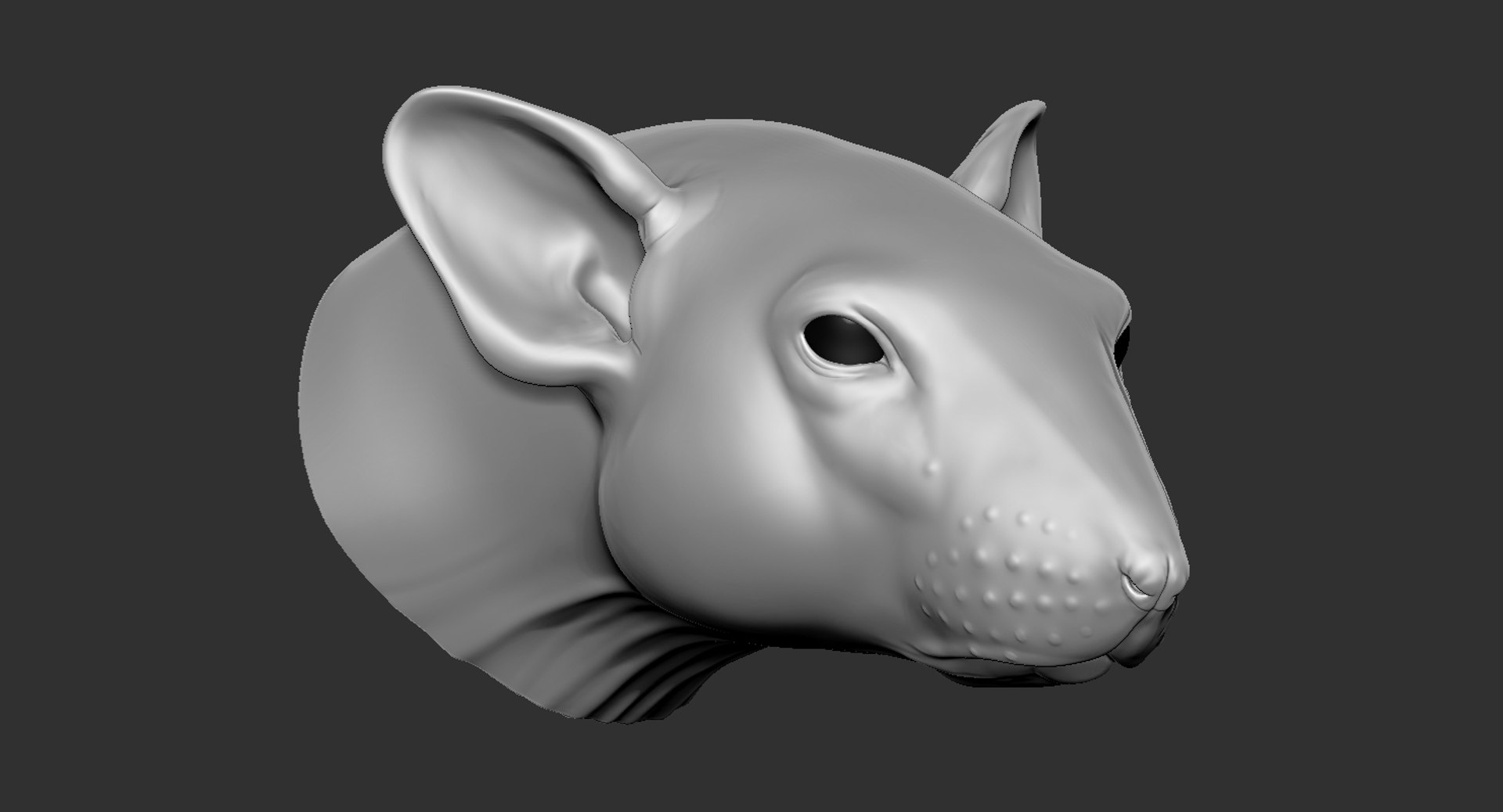 Rat Head 2019 3D Model - TurboSquid 1428004
