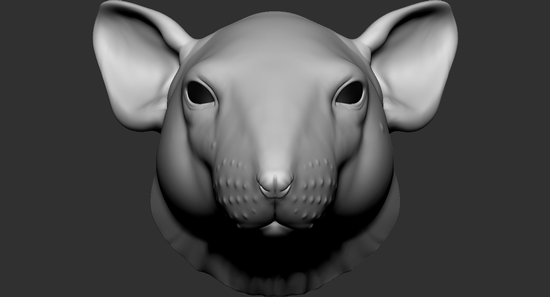 Rat Head 2019 3D Model - TurboSquid 1428004