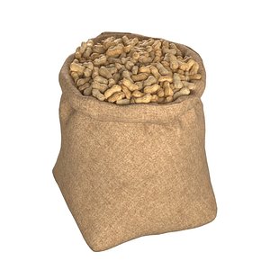Peanut bag sack model