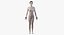 3D model female anatomy organs