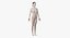 3D model female anatomy organs