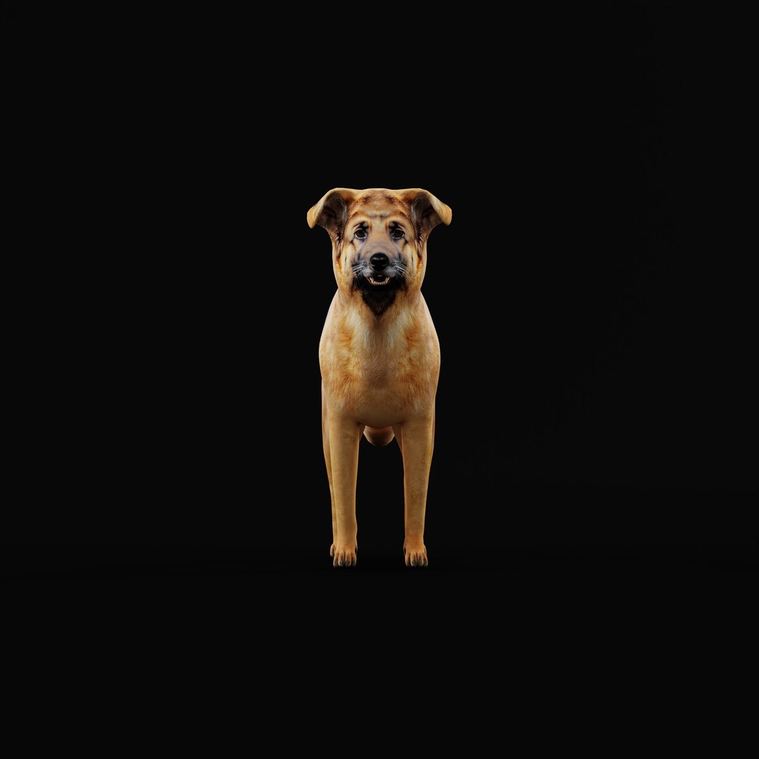 3D German Sheprador Dog https://p.turbosquid.com/ts-thumb/k7/smzZXG/PU/skgermanshepradordogao/jpg/1752345563/1920x1080/fit_q87/1a02f8ab18d492bf8057729754a18ffbc9c4562c/skgermanshepradordogao.jpg