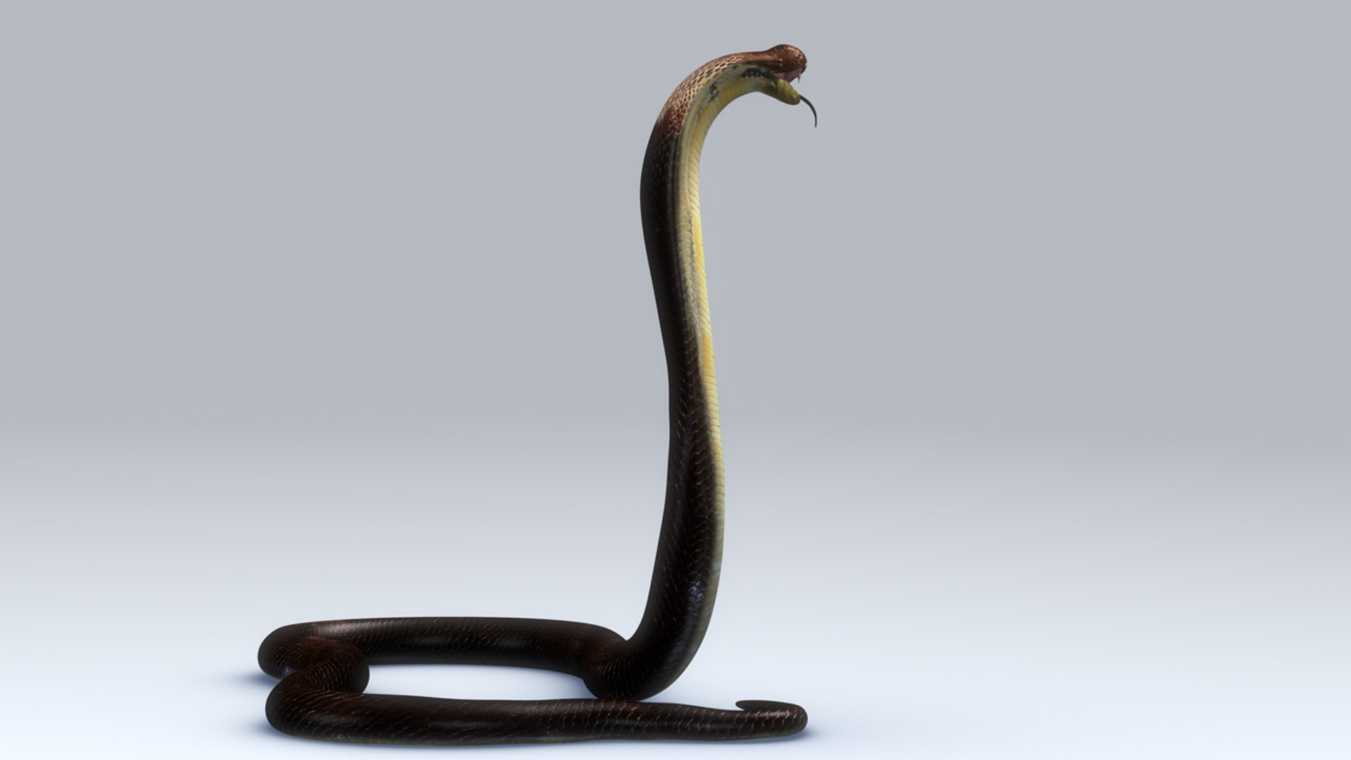 Cobra Snake - 3D model by 3dlowpoly (@3dlowpoly) [ac89870]