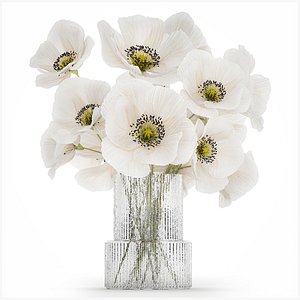 Beautiful Bouquet Of White Wild Flowers Poppy 466
