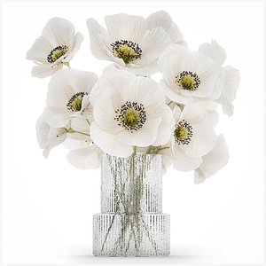 Beautiful Bouquet Of White Wild Flowers Poppy 466