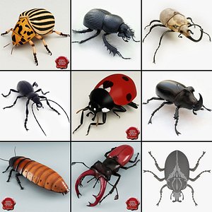 Bugs Collection V4