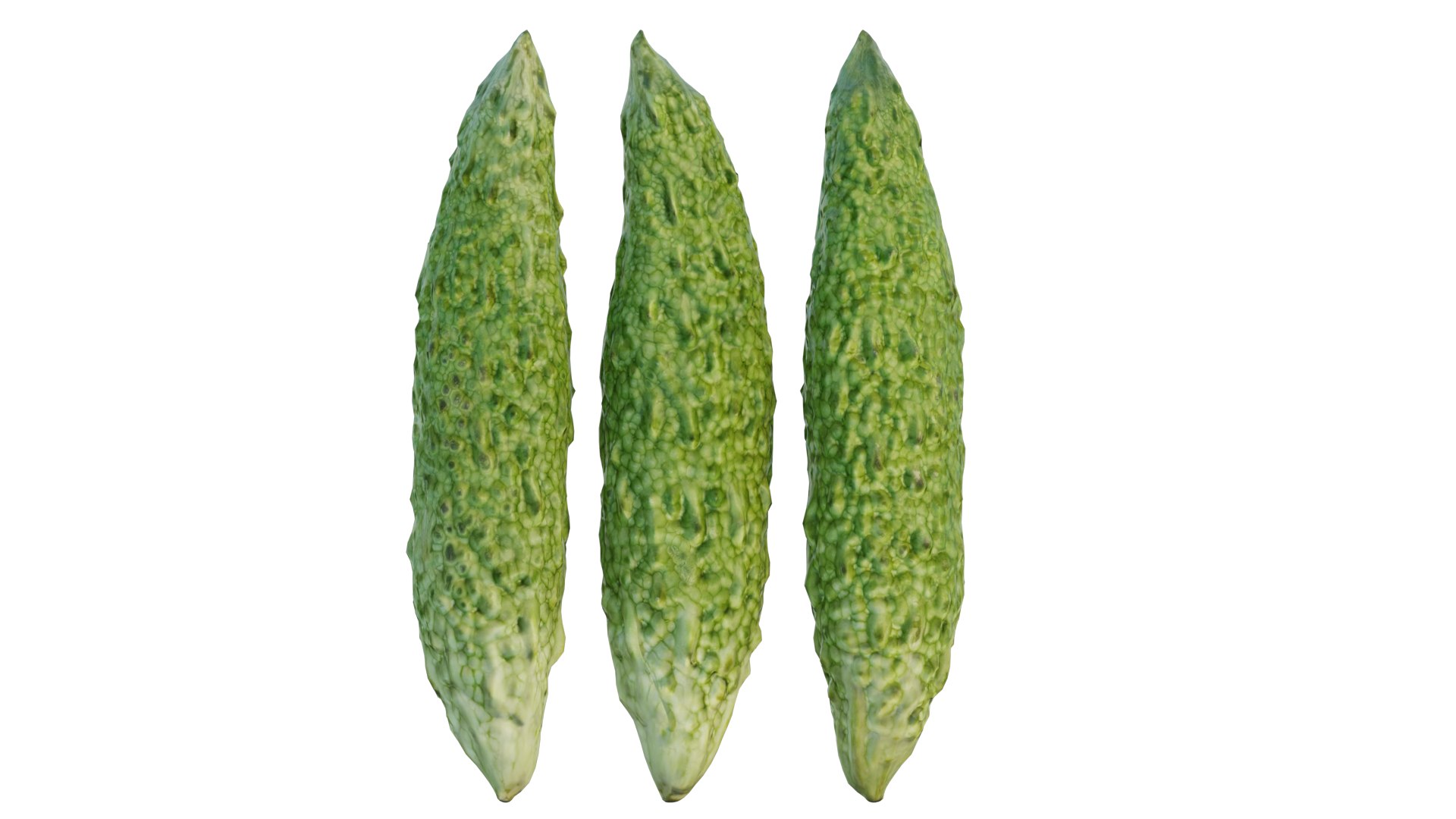 Japanese bitter melon 3D model https://p.turbosquid.com/ts-thumb/k8/1AxF9U/6b/5_interactivelightmix/png/1660735208/1920x1080/fit_q87/9ca7a6511e30b99f1b23faf806f4d222fb8a67af/5_interactivelightmix.jpg