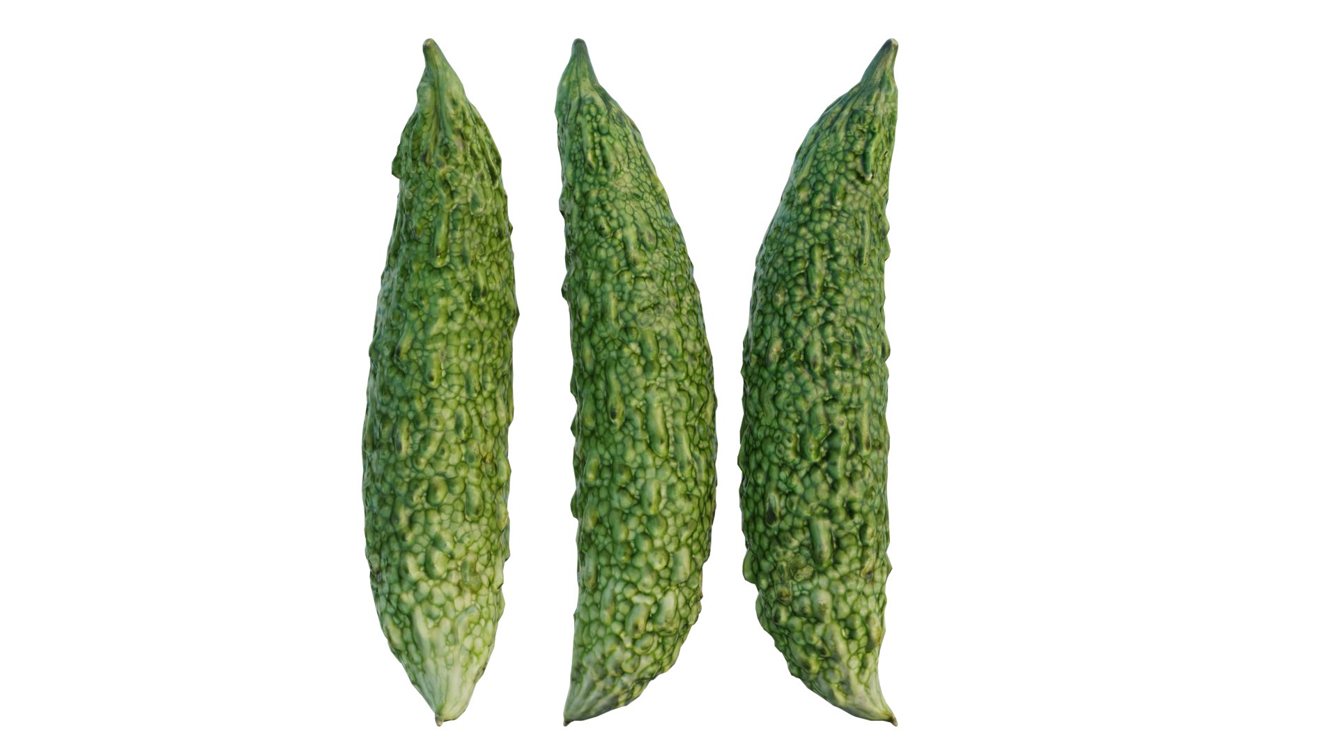 Japanese bitter melon 3D model https://p.turbosquid.com/ts-thumb/k8/1AxF9U/ZC/3_interactivelightmix/png/1660735203/1920x1080/fit_q87/af19e58dd556a86e7b2c77d0be661794265e9e75/3_interactivelightmix.jpg