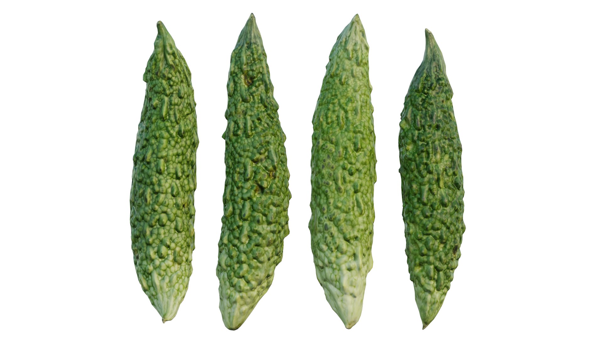 Japanese bitter melon 3D model https://p.turbosquid.com/ts-thumb/k8/1AxF9U/a8/2_interactivelightmix/png/1660735202/1920x1080/fit_q87/a7b38047f65e78392f65d01015170ee5f6ee8af0/2_interactivelightmix.jpg