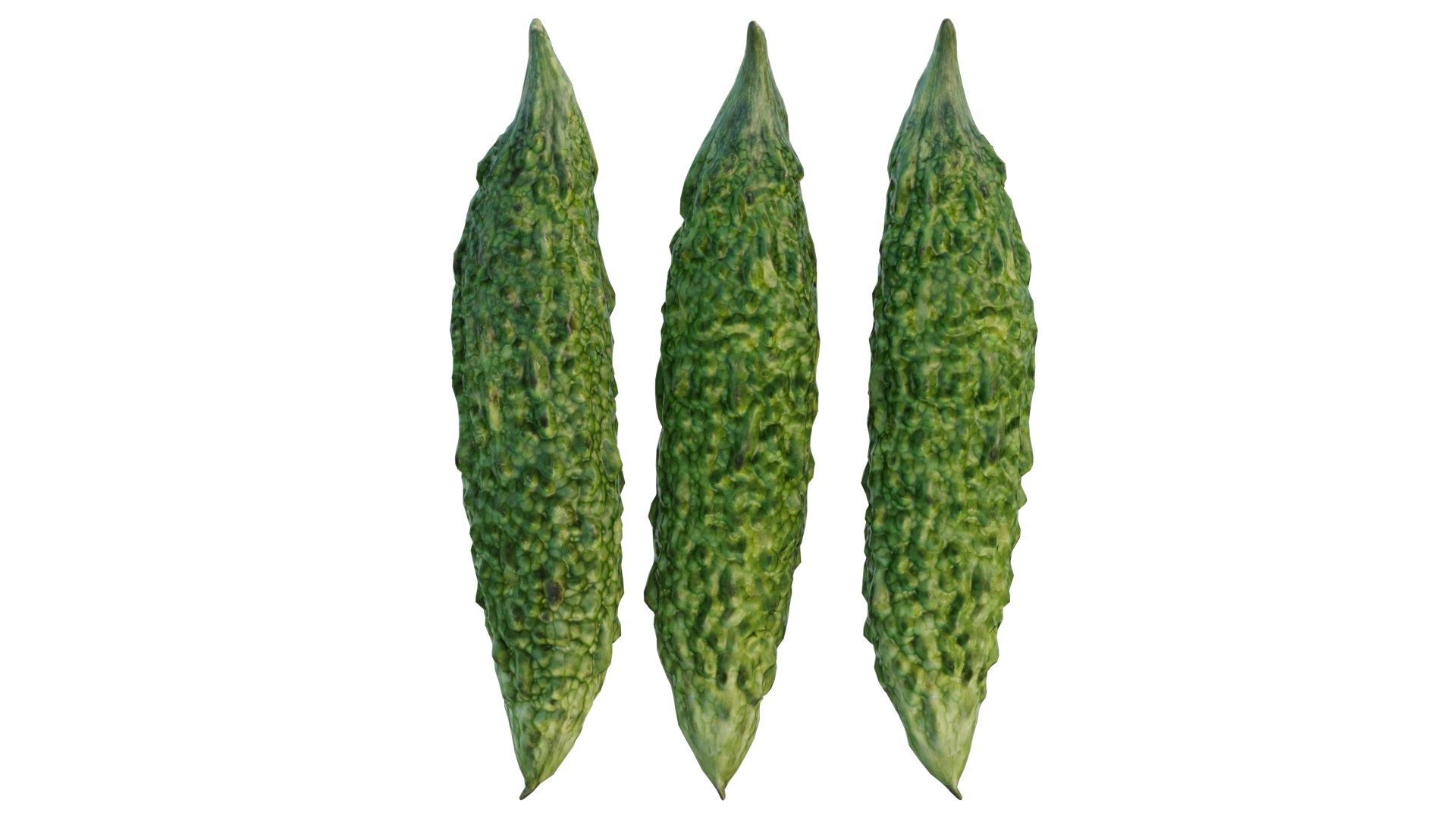 Japanese bitter melon 3D model https://p.turbosquid.com/ts-thumb/k8/1AxF9U/cI/6_interactivelightmix/png/1660735226/1920x1080/fit_q87/944648b40c27f251554efd5ae2d4d3cb857a99fe/6_interactivelightmix.jpg
