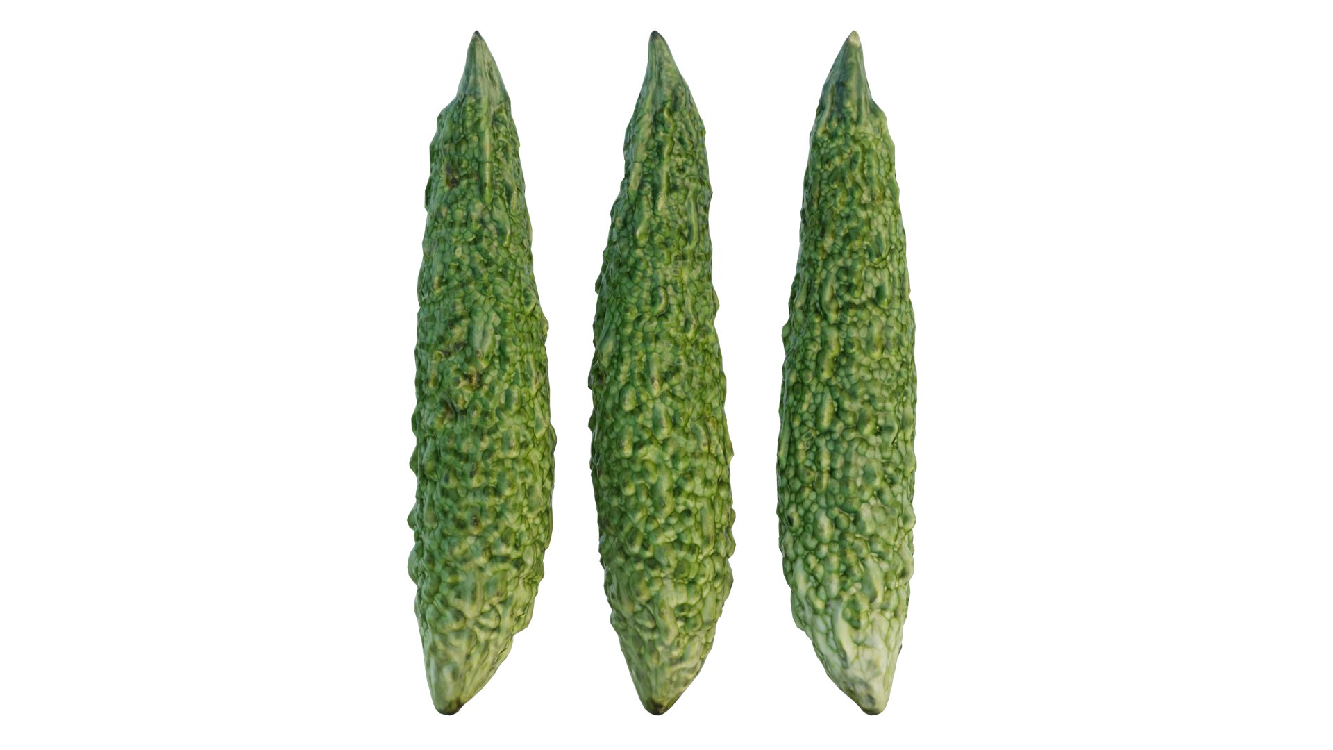 Japanese bitter melon 3D model https://p.turbosquid.com/ts-thumb/k8/1AxF9U/jZ/4_interactivelightmix/png/1660735205/1920x1080/fit_q87/e1d45d890674cb88e9c392ad40b233551a3feac2/4_interactivelightmix.jpg