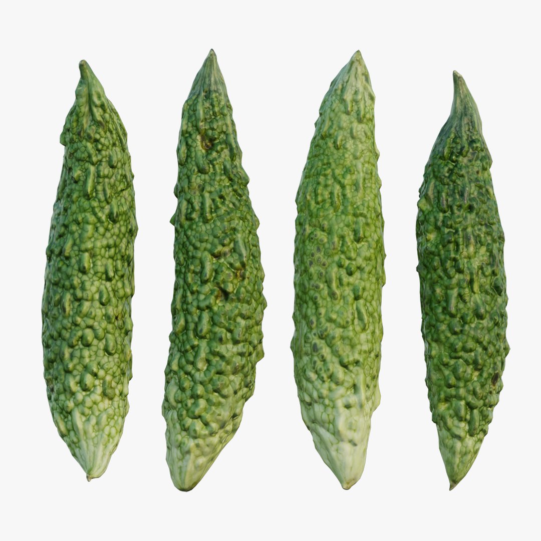 Japanese Bitter Melon 3D Model TurboSquid 1944812