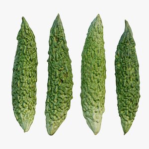 Japanese bitter melon 3D model