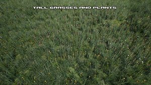 Tall Grasses And Plants Unreal Asset 3D model