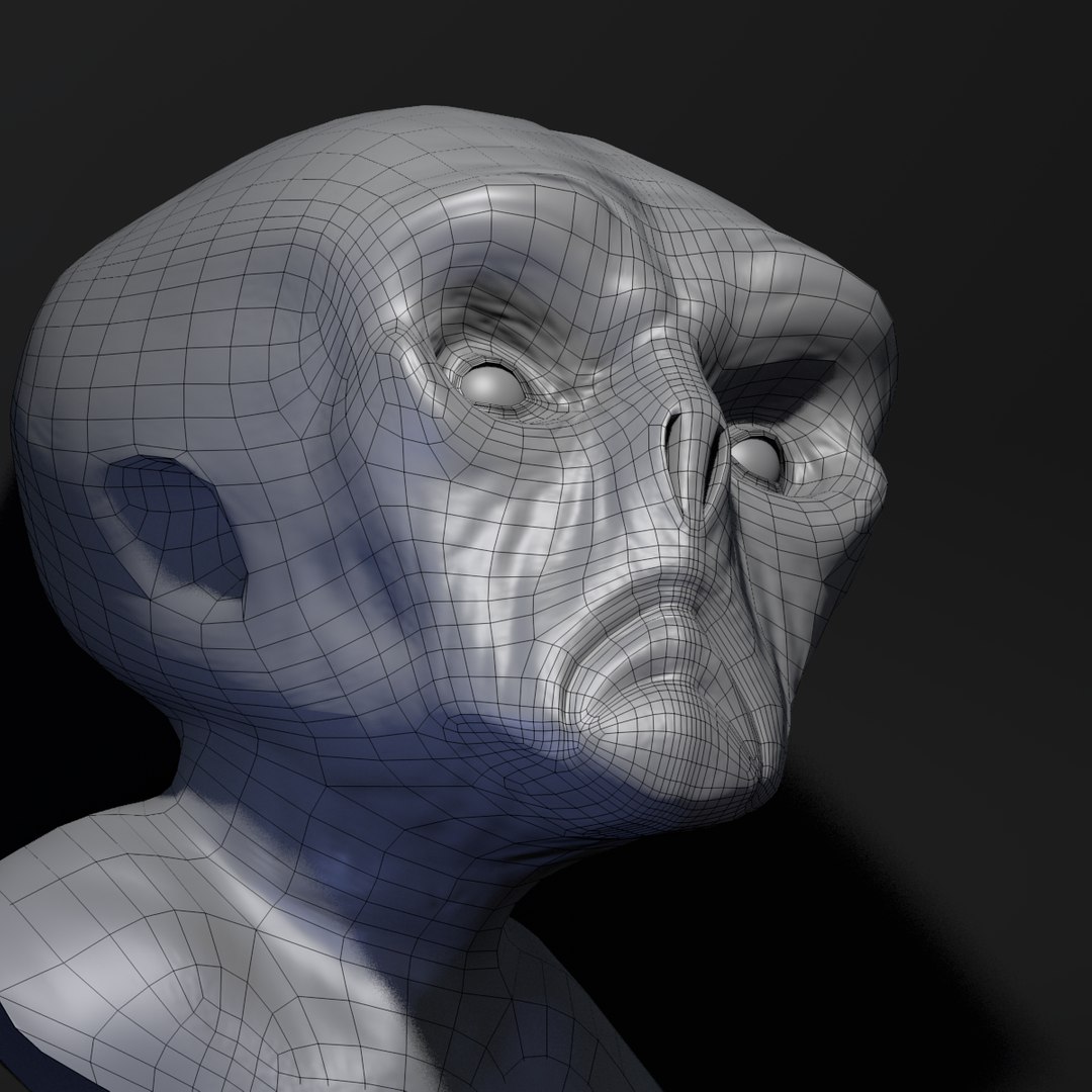 3d Model Rigged Character