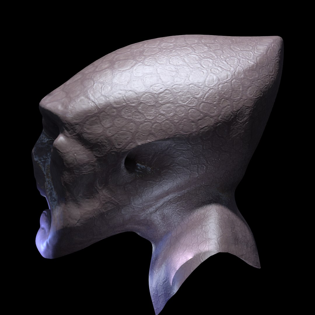 3d Model Rigged Character