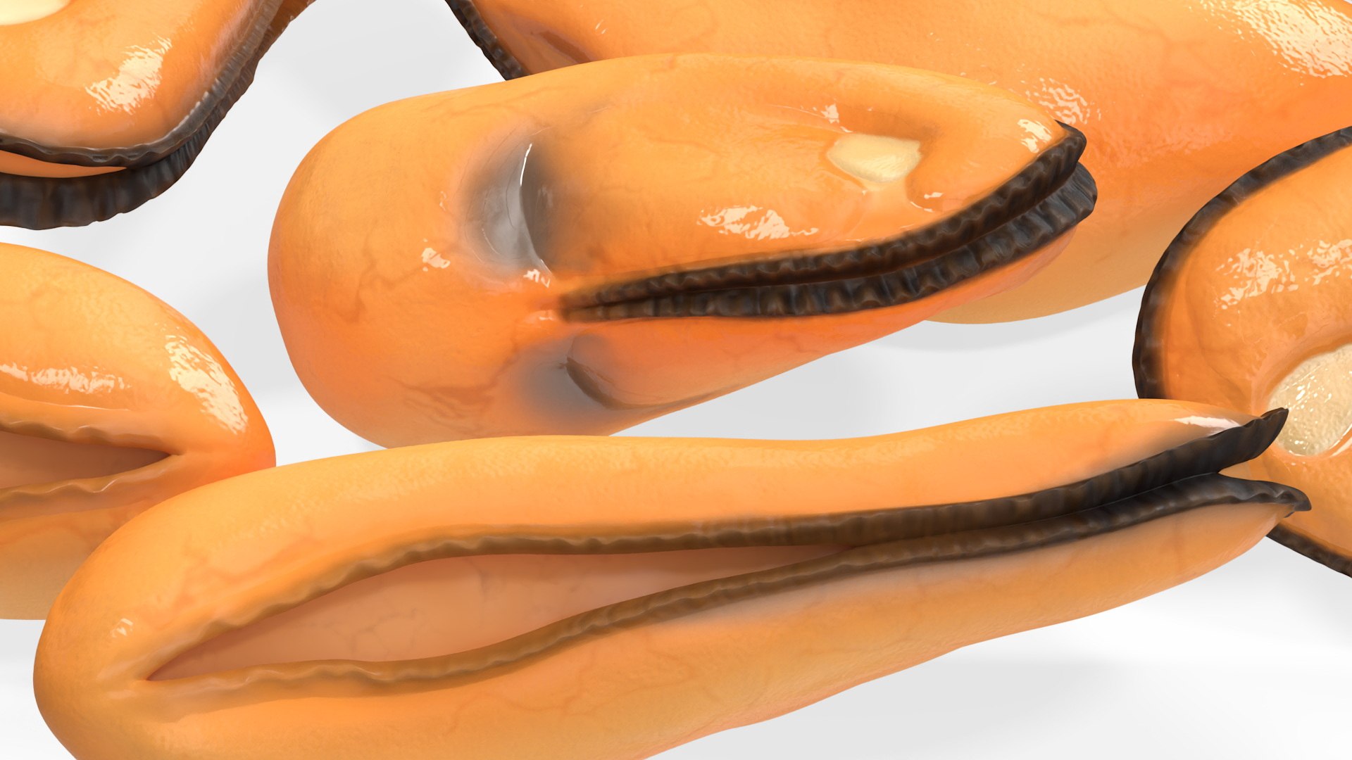 Bunch of Peeled Mussels 3D model https://p.turbosquid.com/ts-thumb/k8/BDlH0a/cm/bunchofpeeledmussels3dsmodel011/jpg/1725510512/1920x1080/fit_q87/c11133c77e967813424f930f846654d1c3ee7176/bunchofpeeledmussels3dsmodel011.jpg