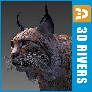 Iberian lynx by 3DRivers