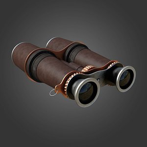 3D model binocular