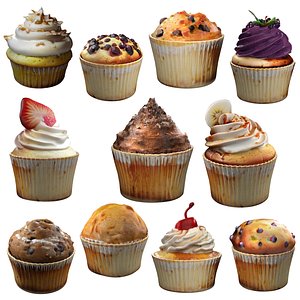 Muffin collection 2 model