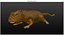 gecko