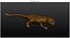 gecko