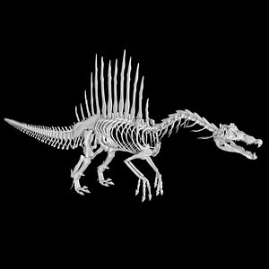 Spinosaurus skeleton 3D