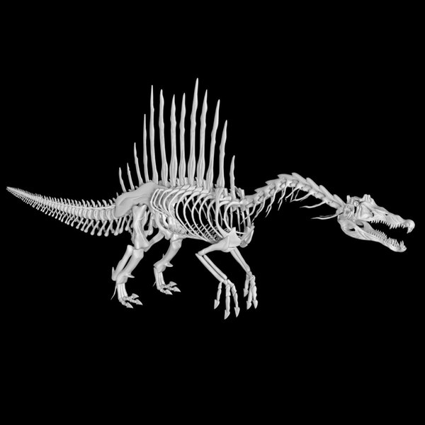 Spinosaurus 3D Models for Download | TurboSquid