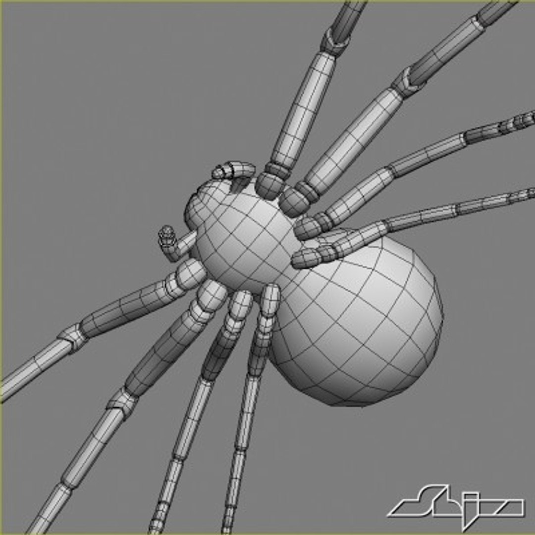 animation spider rigged max