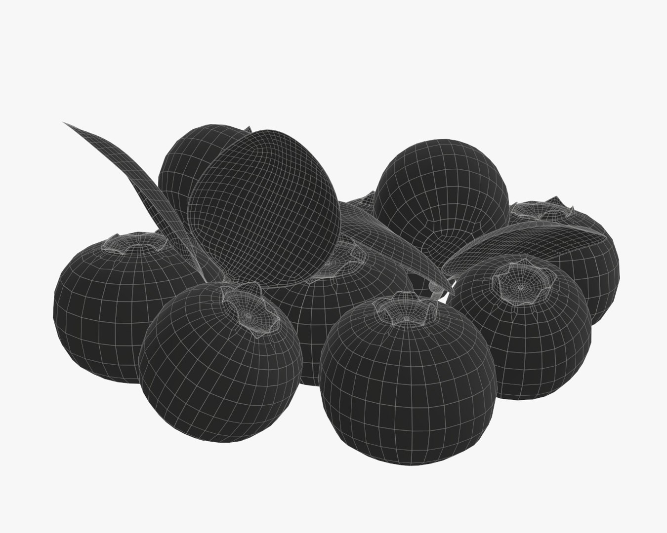 Bluberries Bilberry 3D Model - TurboSquid 1389007