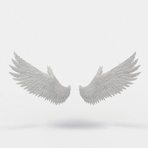 Highly Detailed RIGGED ANGEL or BIRD WINGS