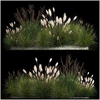 Decorative Bushes For Landscaping 1120