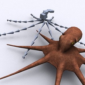 Octopus